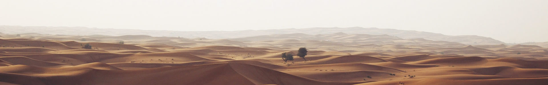 ݼƼ޹˾